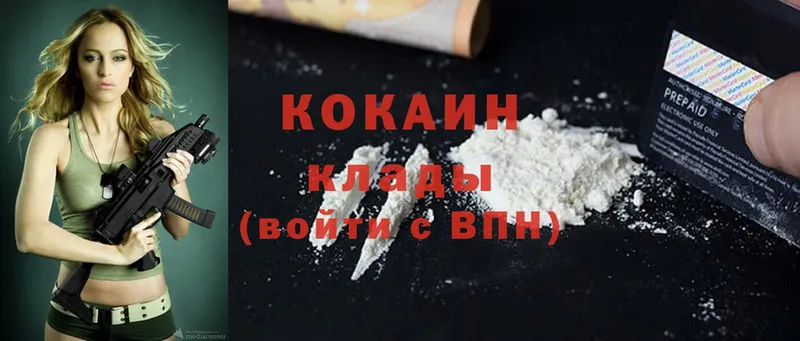 купить закладку  Губкин  КОКАИН FishScale 